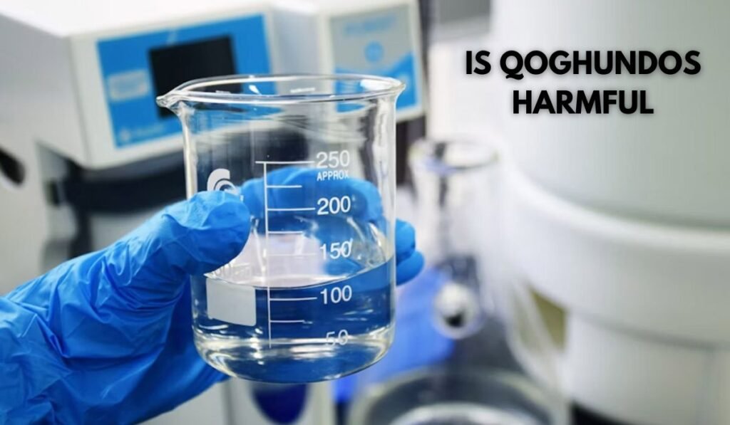 ingredients in qoghundos